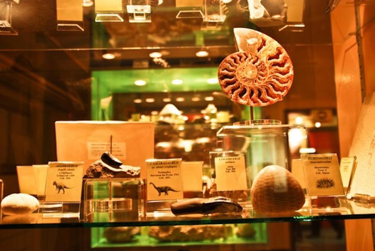 Le Loft